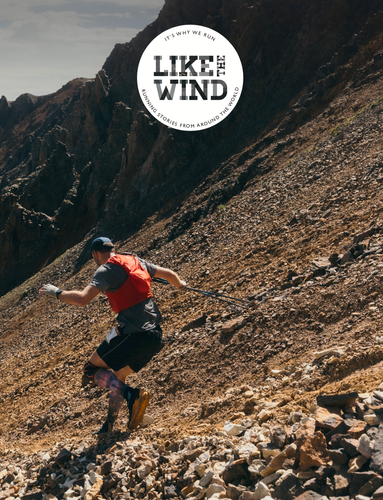 Like The Wind, Issue 33